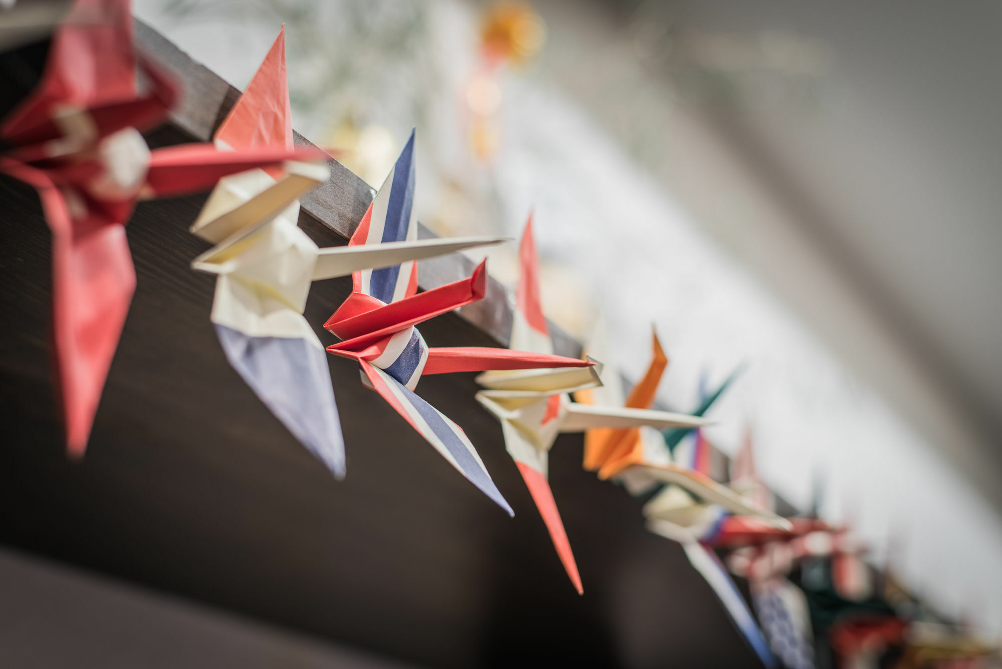 Guesthouse Origami Kyoto Ngoại thất bức ảnh